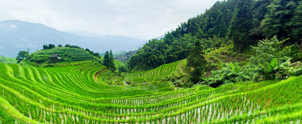 Decentralised & Digitalised: Patient-Centric DCTs in China
