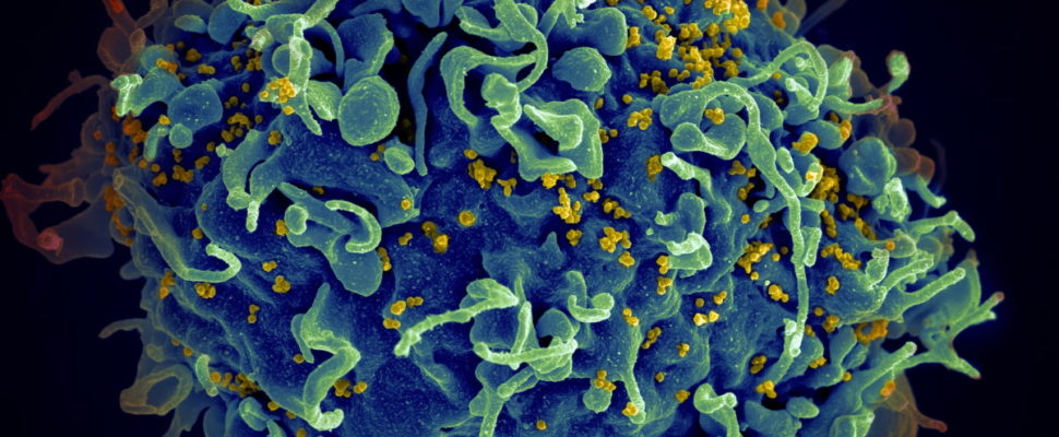 HIV Snapshot 2023