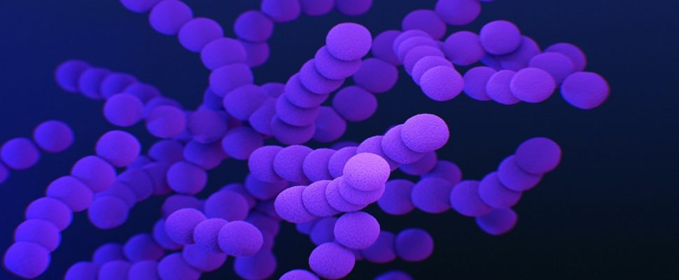 AMR Still a Threat To Millions of Lives: WHO