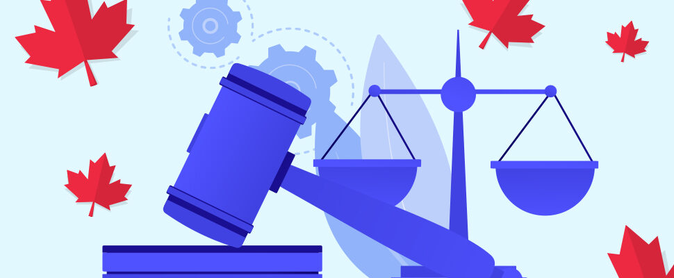Bill 15: The Quebec Government Wants to Limit the Specific Medical Necessity Measure