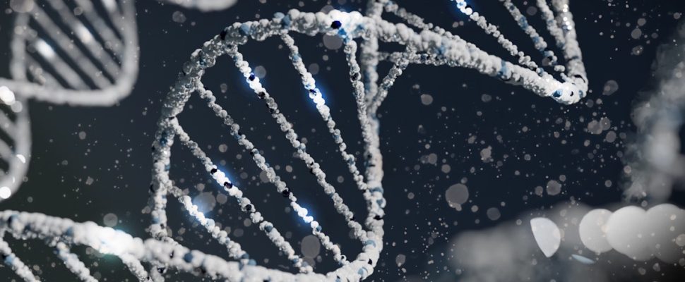 Could Personalised Medicine Make Everything a “Rare Disease”?