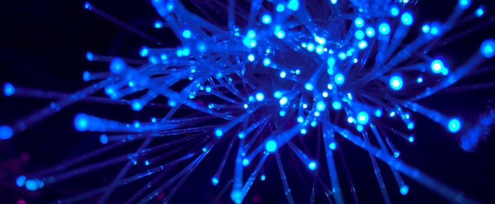 What’s Ahead for EU Life Sciences VC Investors in 2025?