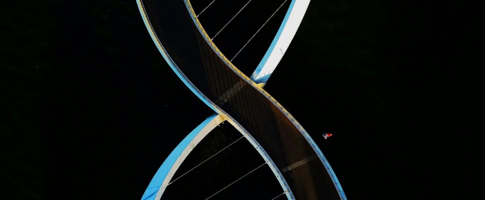 Regeneron’s 23andMe Buyout: What Will Happen to 15m Users’ Genetic Data?