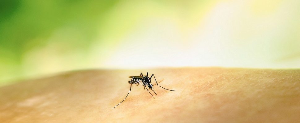 Novartis Breaks New Ground with World’s First Malaria Treatment for Newborns