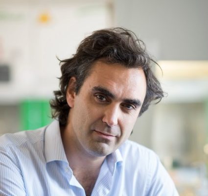 Andrea Alimonti – Professor at the Department of Health Sciences and Technology, Institute of Oncology Research (IOR)