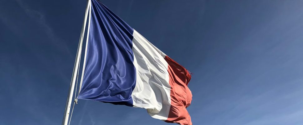 Rare Diseases in France: A Leader at Risk of Losing Momentum?