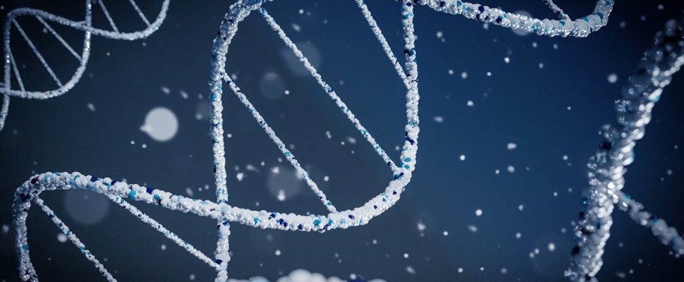 Lyon: Biotech Success Stories