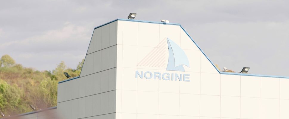 Norgine: Agility & Adaptation