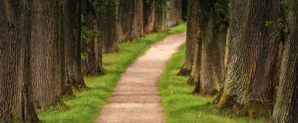 Preventive Medicine: A Path to a Healthier Future